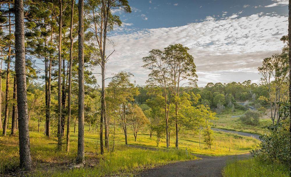 Bed and Breakfast Abelia House Byron Bay Exterior foto