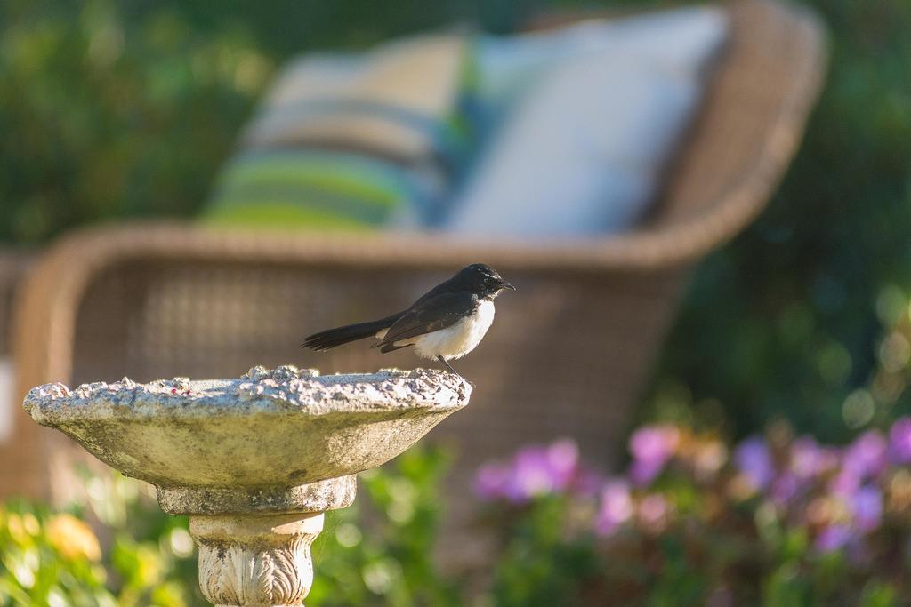 Bed and Breakfast Abelia House Byron Bay Exterior foto