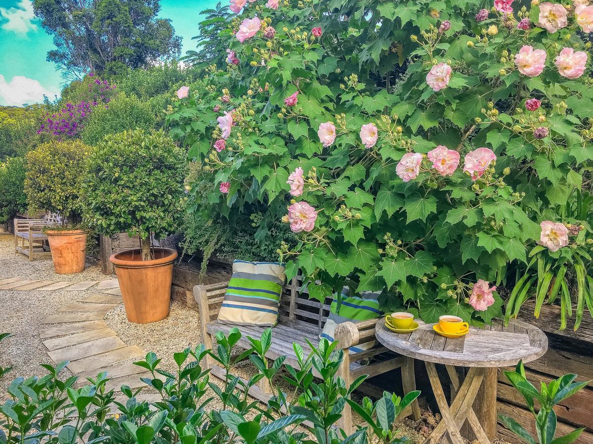 Bed and Breakfast Abelia House Byron Bay Exterior foto