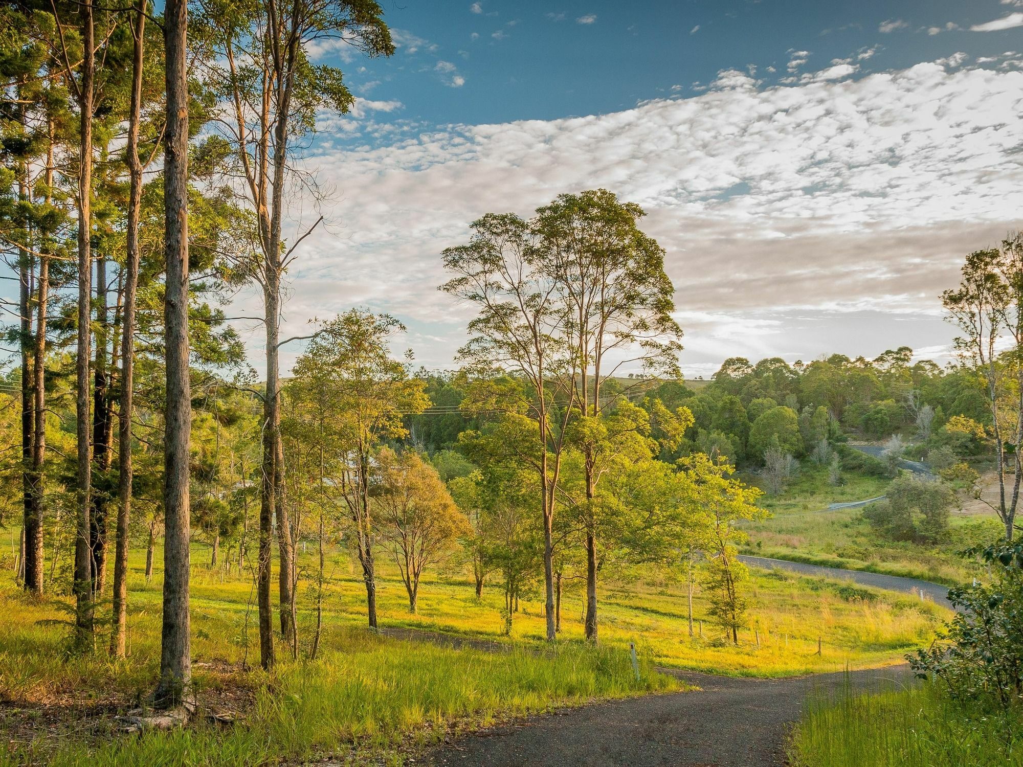 Bed and Breakfast Abelia House Byron Bay Exterior foto