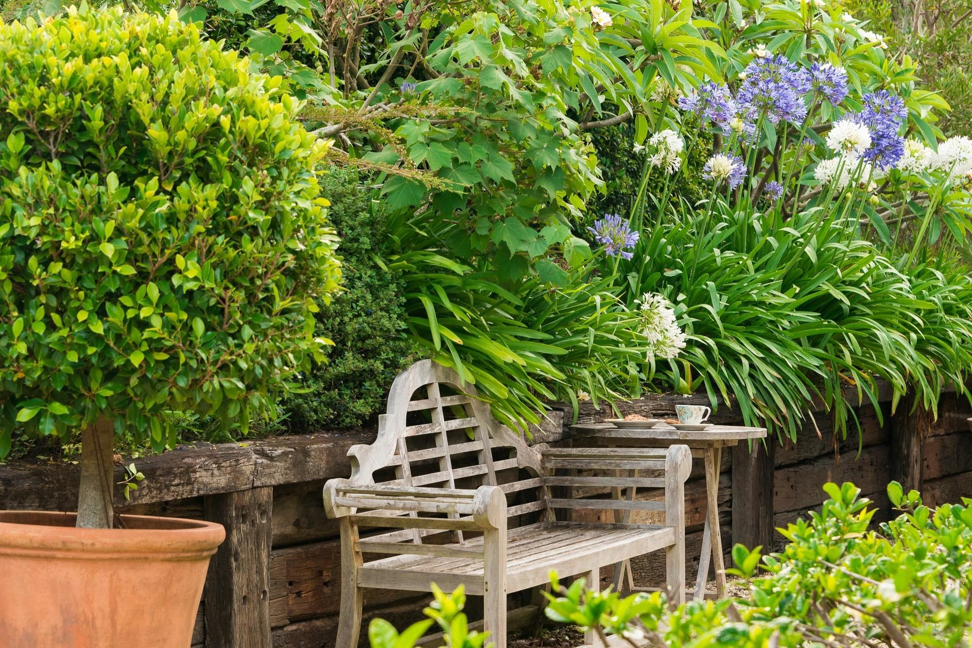 Bed and Breakfast Abelia House Byron Bay Exterior foto
